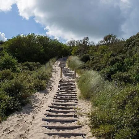 Dw Castricum