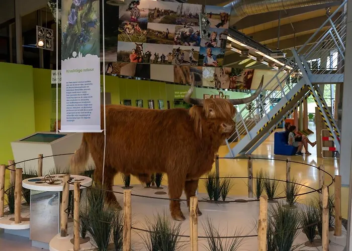 Dw * 카스트리컴