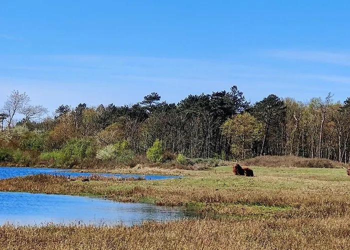 Vakantiepark Dw Castricum