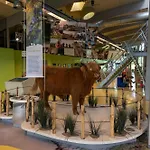 Dw * Castricum