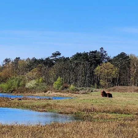 Aldeamento Turístico Dw Castricum